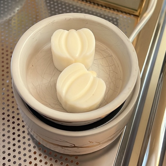 White Pumpkin- Harvest Spice Scented Pumpkin Shaped Wax Melts - Picture 1 of 3
